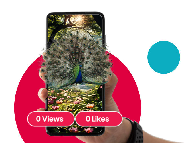  Jungle Mein Mor Nachakisnedekha?