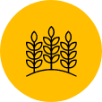 Agriculture Agriculture